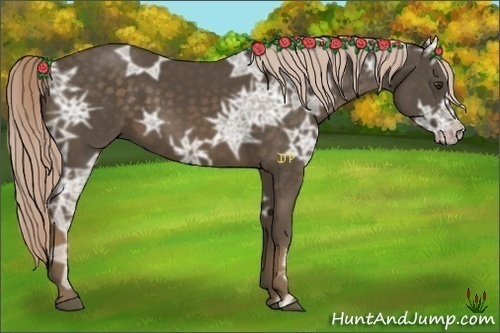 Horse Color:Chocolate Palomino Ice