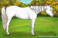 Horse Color:Liver Chestnut Tobiano Snowcap 