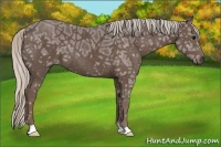 Horse Color:Silver Black Ice 