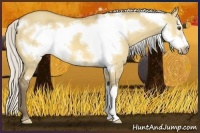 Horse Color:Silver Buckskin Dun Frame 