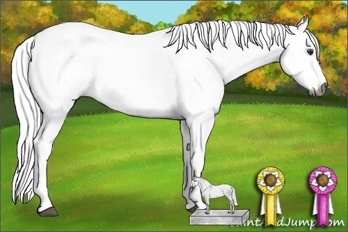 Horse Color:Gray White Spotted Liver Chestnut 