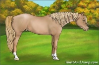 Horse Color:Chestnut Pearl 
