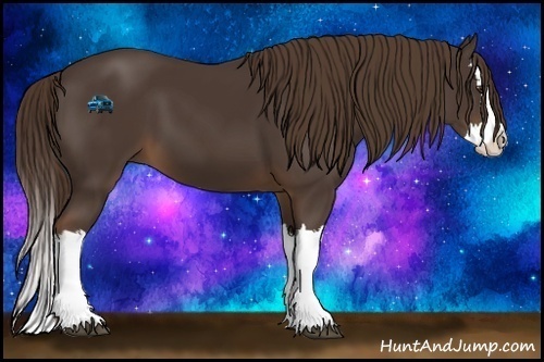 Horse Color:Liver Chestnut Splash 