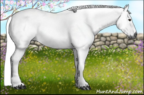 Horse Color:Gray Bay Tobiano
