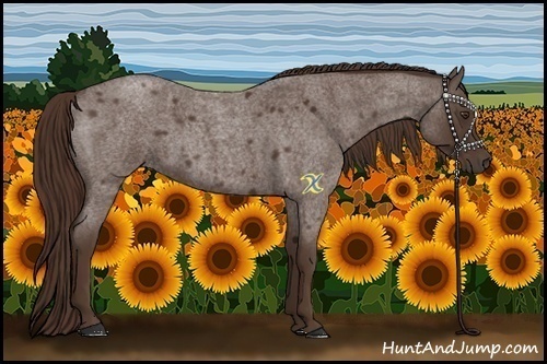 Horse Color:Liver Red Roan 