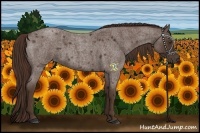 Horse Color:Liver Red Roan 