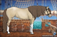Horse Color:Grullo Pearl 