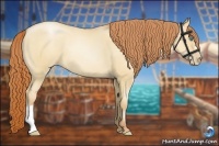 Horse Color:Sable Champagne Pearl Dun 