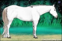 Horse Color:Bay Pearl Sabino Appaloosa Rabicano