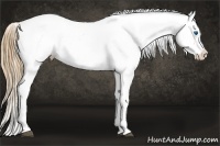 Horse Color:White Spotted Black Pearl Sabino Splash Appaloosa Rabicano 