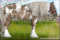 Horse Color:White Spotted Chocolate Palomino Rabicano