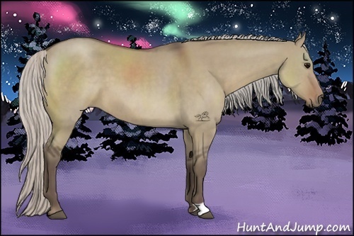 Horse Color:Silver Grullo