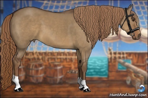 Horse Color:Liver Red Dun