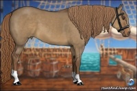 Horse Color:Liver Red Dun 