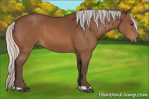 Horse Color:Silver Bay