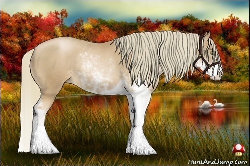 Horse Color:Chestnut Pearl Sabino Rabicano 