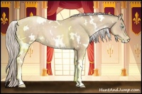 Horse Color:White Spotted Chocolate Palomino Pearl 