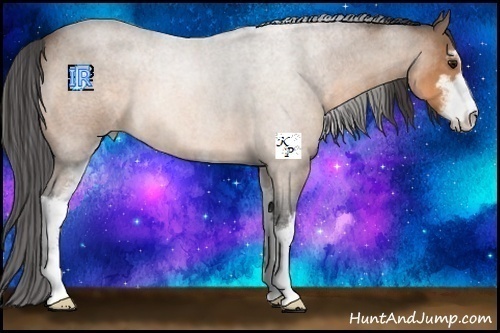 Horse Color:Buckskin Roan Sabino 