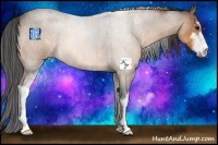 Horse Color:Buckskin Roan Sabino