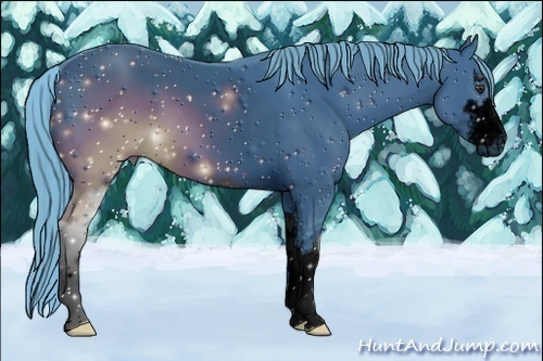 Horse Color:ERROR: UNKNOWN ANOMALY