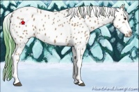 Horse Color:Watercolor Bay Leopard