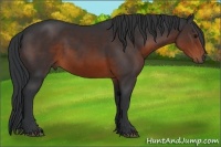 Horse Color:Brown 