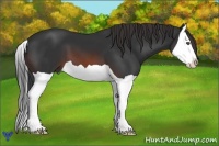 Horse Color:Brown Splash