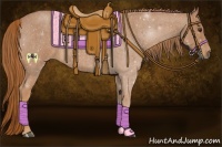 Horse Color:Red Roan 