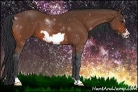 Horse Color:Bay Frame