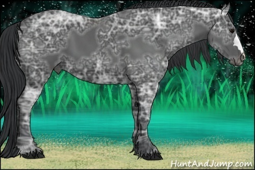 Horse Color:Black Ice