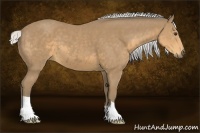 Horse Color:Silver Buckskin 