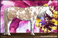 Horse Color:Black Pearl Sabino 