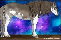 Horse Color:Liver Chestnut Splash 