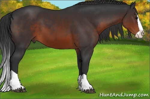 Horse Color:Brown Splash 