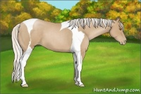 Horse Color:Silver Black Pearl Tobiano