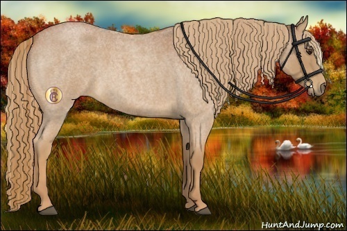 Horse Color:Red Roan Rabicano 