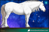 Horse Color:Liver Chestnut Pearl Sabino 