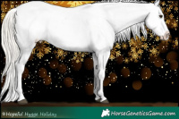 Horse Color:Chestnut Mushroom Appaloosa 