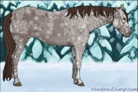 Horse Color:Liver Chestnut Ice 