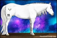 Horse Color:Silver Smoky Grullo Roan Varnish Rabicano 