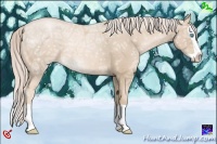 Horse Color:Palomino Ice Pearl Splash 