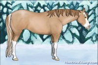Horse Color:Chestnut Pearl Splash 