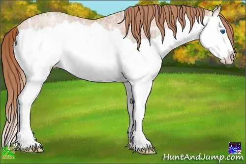 Horse Color:Smoky Black Ice Pearl Splash Rabicano