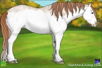 Horse Color:Smoky Black Ice Pearl Splash Rabicano 