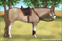 Horse Color:Black Pearl Sabino