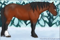 Horse Color:Brown 