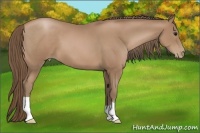 Horse Color:Black Pearl 