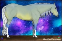 Horse Color:Watercolor Silver Bay Tobiano 