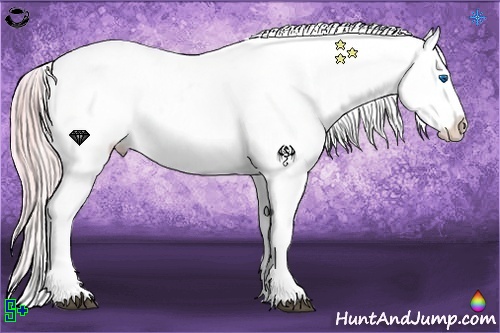 Horse Color:Watercolor Palomino Splash Appaloosa