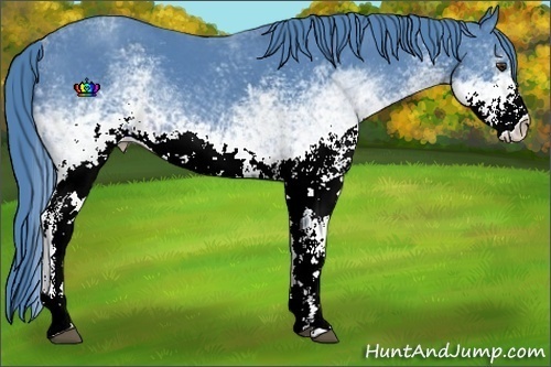 Horse Color:Watercolor White Spotted Liver Chestnut 